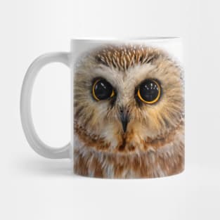 Closeup of a Cute Northern Saw Whet Owl Mug